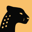 Cheetah AI - Professional AI Coding Assistant